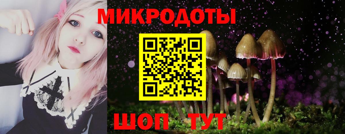 Псилоцибиновые грибы мицелий Норильск